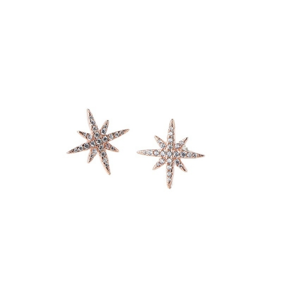 925 silver needle octagonal star earrings - Picture 1 of 3